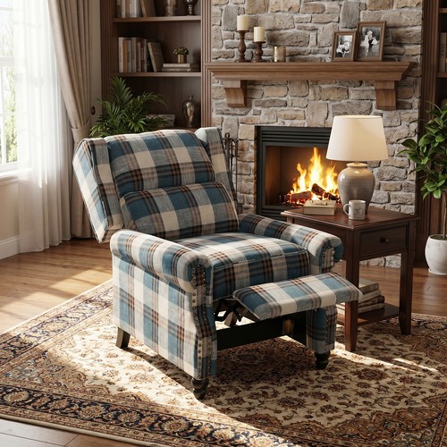 Orthopaedic wingback reclining - wingback,