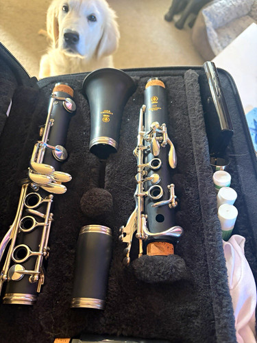 Yamaha ycl 255s student - ycl,