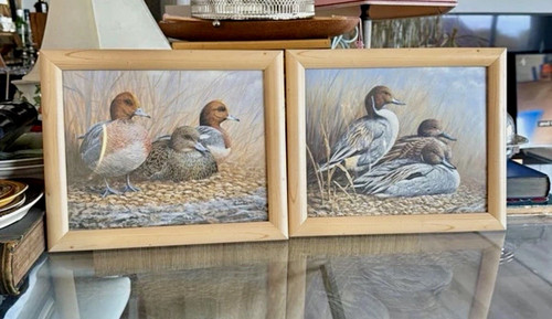 Duck bird prints set - bird,