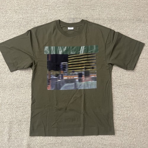 Men graphic dries van - men’s,