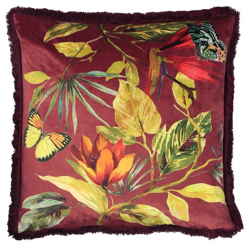 Paoletti cahala tropical - paoletti,