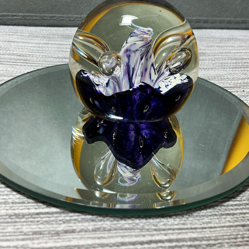 Caithness miniature moonflower - caithness,