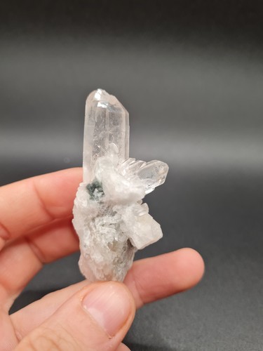 Blue tara quartz barnacle - blue,