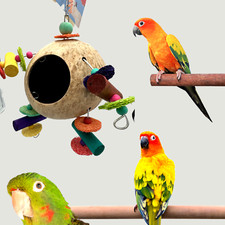 0205 Conure Cockatiel Round Coconut Kebab Goods Parrot Cage Toy Cage House Breed