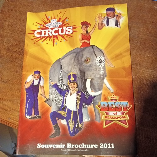 2011 blackpool tower - 2011,
