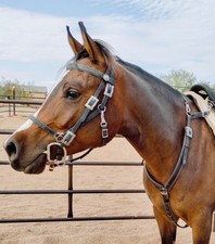 Endurance Halter Bridle Breastcollar Set Black Beta Biothane Taylored Tack