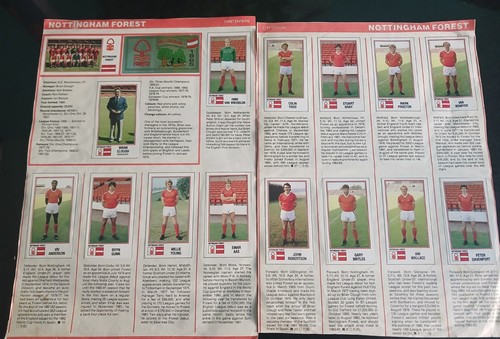 Nottingham forest players - nottingham,