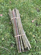 40 x Goat Willow Cuttings For