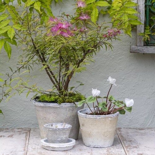Whitestone terracotta pot - whitestone,