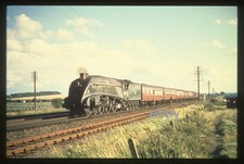 Unissued Colour rail 35mm