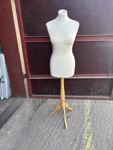 Tailor dummies dummy - tailor,