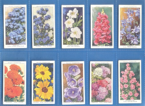 Garden flowers complete set - garden, of