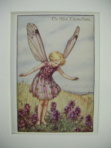 Vintage flower fairies - print, &