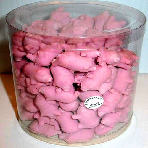 100 miniature baby pig - miniature,