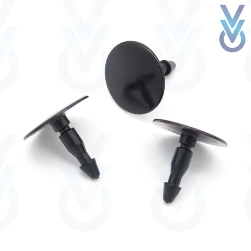 10x vvo rear - rear, arch
