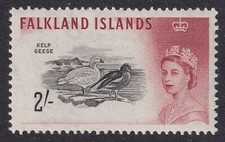 FALKLAND ISLANDS 1960-66 QEII 2/- Kelp Geese SG 204 MH/* (CV £32)