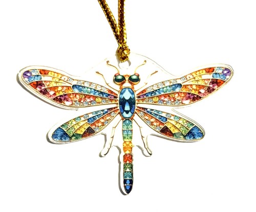 Beautiful dragonfly insect - beautiful,