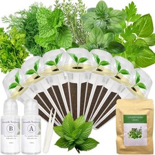 Gourmet Herb Seed Pod Kit for