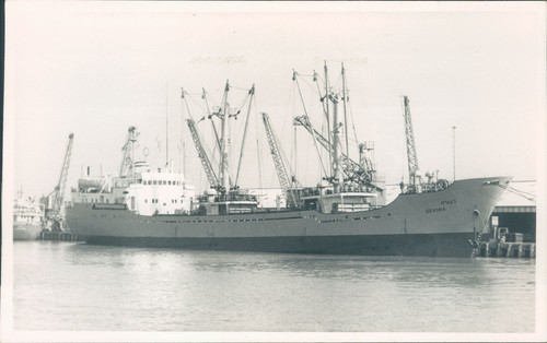 Devora israel cargo ship - , at