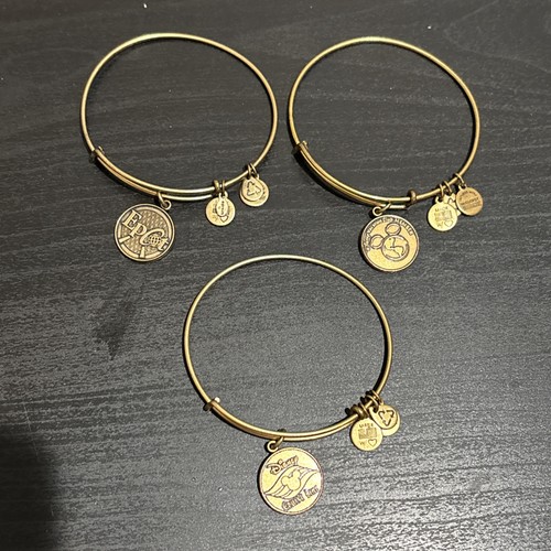 Alex and ani disney bangle - alex,