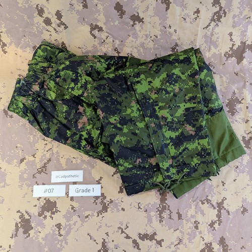 Caf canadian armed forces - caf,
