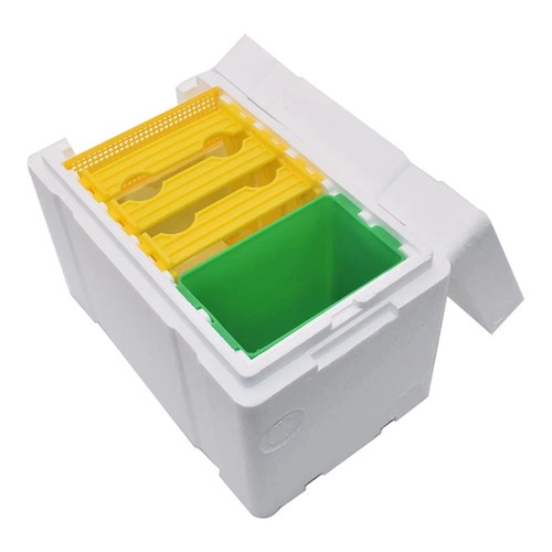 Queen bee breeding box - bee,
