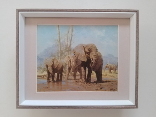 David shepherd print - david,