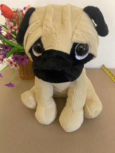 Big inch sitting - big, pug