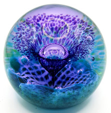 Purple/green/blue/multi