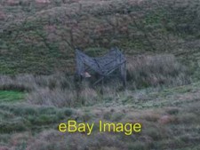 Photo 6x4 larsen trap - trap, at