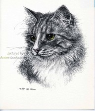 #50 MAINE COON CAT portrait *