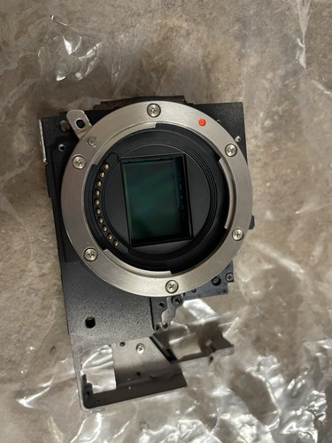 Fujifilm pro1 sensor - fujifilm,