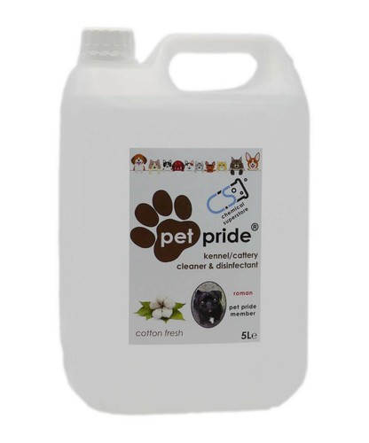 Kennel cattery cleaner - cattery,