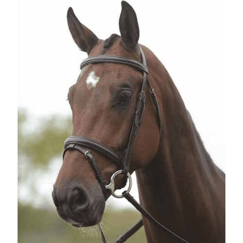 Kincade flash bridle - bridle,