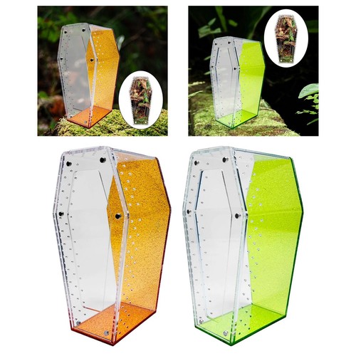Jumping spider enclosure - jumping,
