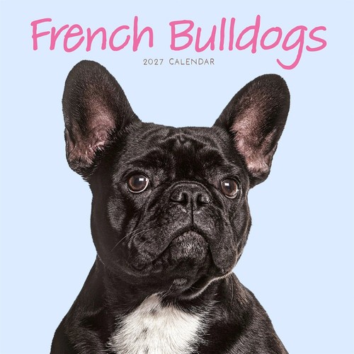 French bulldogs mini - mini, calendar