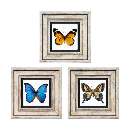 Butterfly effect vintage set - vintage,