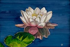 Original Modern Botanical