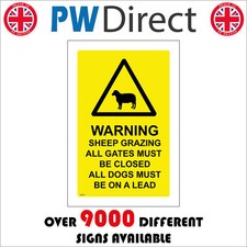 WS510 SHEEP GRAZING ALL GATES
