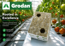 48-pack Next Gen 2.0 Grodan