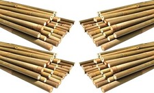 Bamboo Stakes Plant Garden 4
