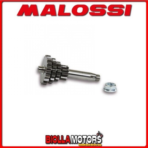 6716696 malossi sport gearbox - malossi,