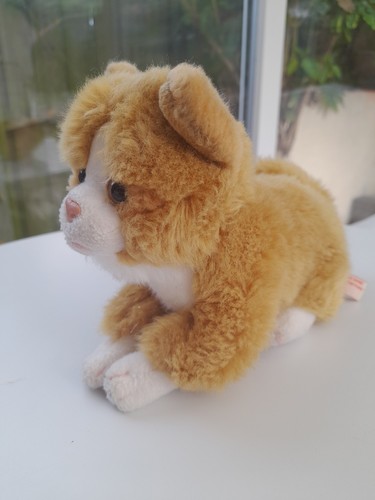 Teddy hermann cat - cat, soft