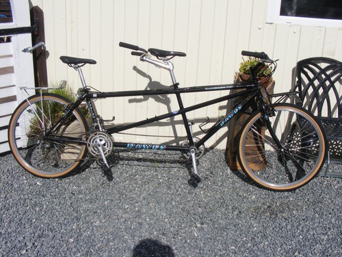 Dawes 90s tandem cafe cruiser - 90s,