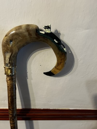 Shepards croock rams horn - rams,