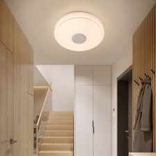 Modern LED Ceiling Light Color