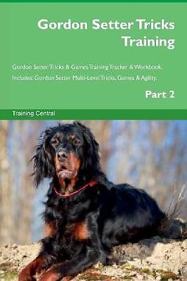 Gordon setter tricks training - setter,
