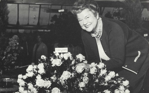 Miss violet carson - miss,
