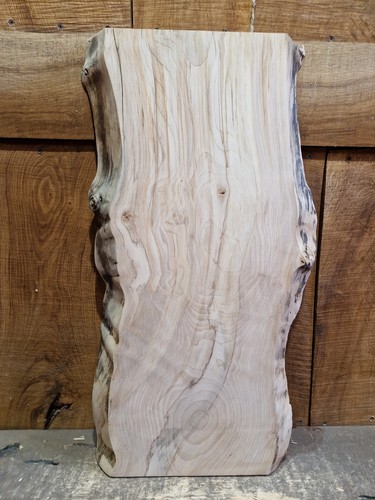 Live edge sycamore slab - edge, (058)