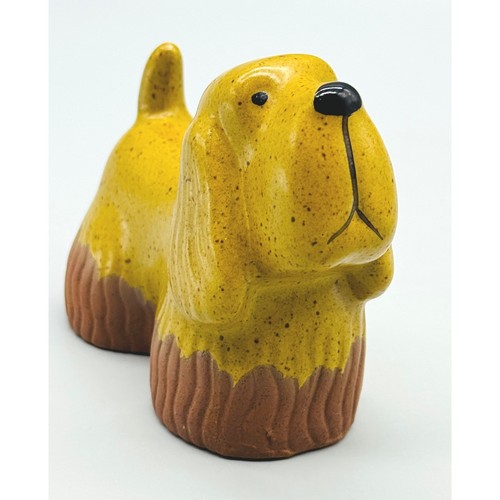 Toscany cocker spaniel dog - toscany,